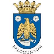 Könyvtári, Információs és Közösségi Hely